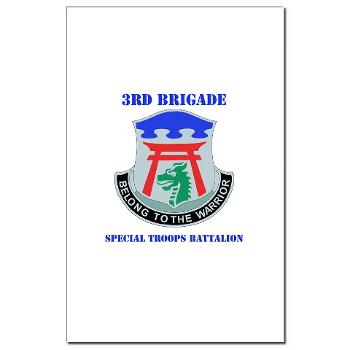 101ABN3BSTB - M01 - 02 - DUI - 3rd Brigade - Special Troops Battalion with Text - Mini Poster Print