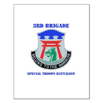 101ABN3BSTB - M01 - 02 - DUI - 3rd Brigade - Special Troops Battalion with Text - Small Poster