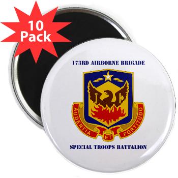 173STB - M01 - 01 - DUI - 173rd Special Troops Battalion with Text - 2.25 Magnet (10 pack)