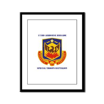 173STB - M01 - 02 - DUI - 173rd Special Troops Battalion with Text - Framed Panel Print