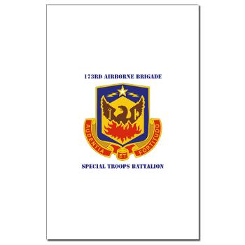 173STB - M01 - 02 - DUI - 173rd Special Troops Battalion with Text - Mini Poster Print
