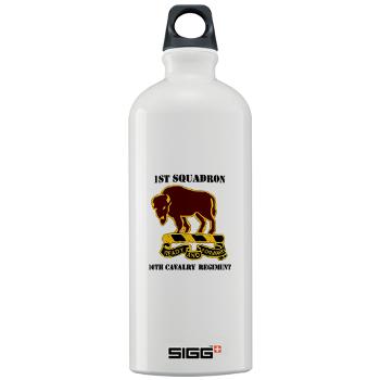 1S10CR - M01 - 03 - DUI - 1st Sqdrn - 10th Cavalry Regt with Text - Sigg Water Bottle 1.0L - Click Image to Close