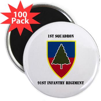 1S91IR - M01 - 01 - 1st Squadron 91st Infantry Regiment with Text - 2.25 Magnet (100 pack)