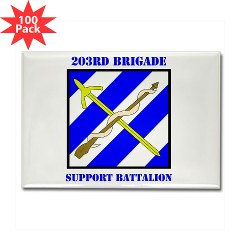 203BSB - M01 - 01 - DUI - 203rd Brigade Support Battalion with Text Rectangle Magnet (100 pack)