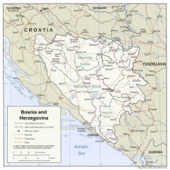 MTSS Media - Maps - Bosnia 24 x 24 Mounted 3409-36714