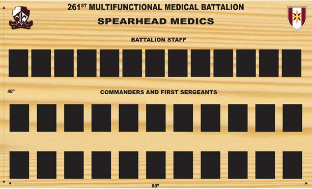 261st Multifinctional Medical Battalion Display