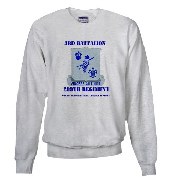 3B289RCSCSS - A01 - 03 - DUI - 3rd Battalion - 289th Regiment (CS/CSS) with Text Sweatshirt