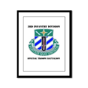 3DSTB - M01 - 02 - 3rd Division - Special Troops Bn with Text Framed Panel Print