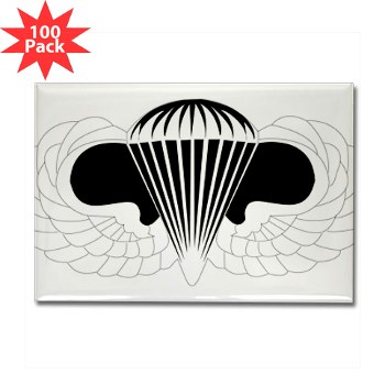 Airborne - M01 - 01 - DUI - Airborne School Rectangle Magnet (100 pack) - Click Image to Close