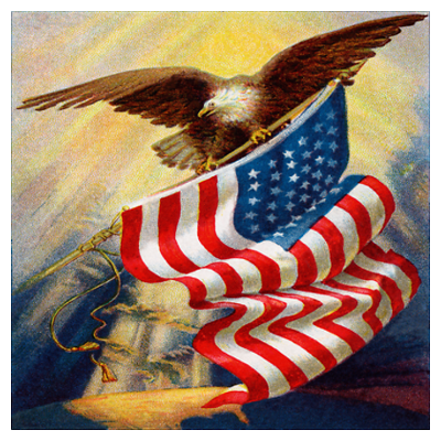 "Eagle and Flag Wall Art" Poster