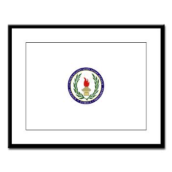 USAAA - M01 - 02 - USA Audit Agency - Large Framed Print